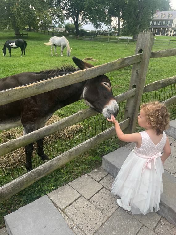 The flower girl met a donkey