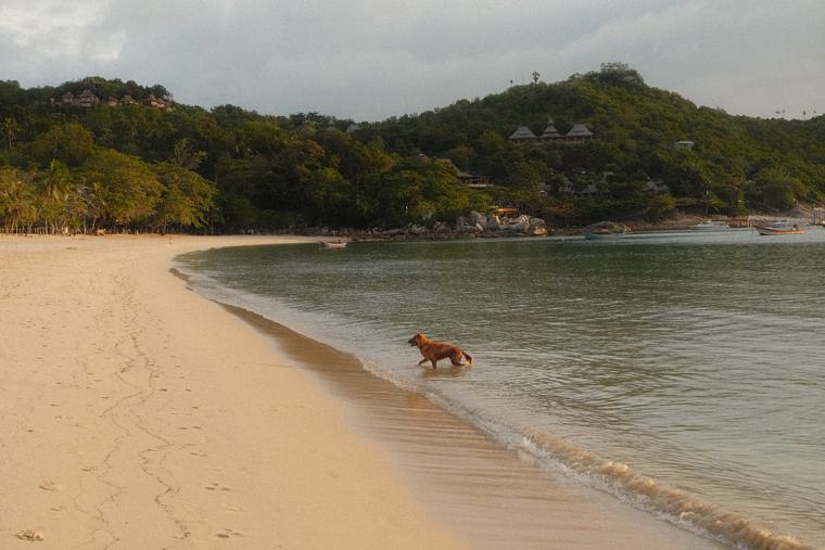 Low tide, one set of footprints