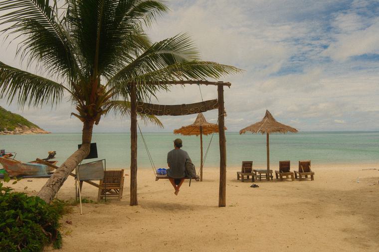 A swing, a palm, and not much else