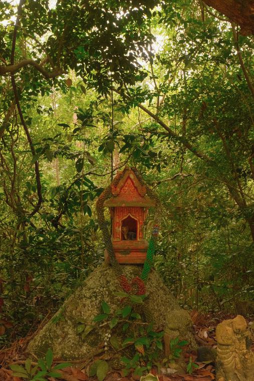 A spirit house in the trees