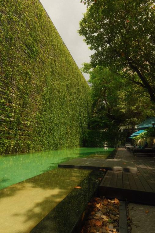 Teak, water, and a wall of green