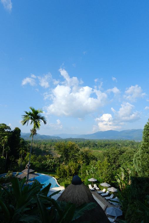 The pool, the jungle, and the river beyond